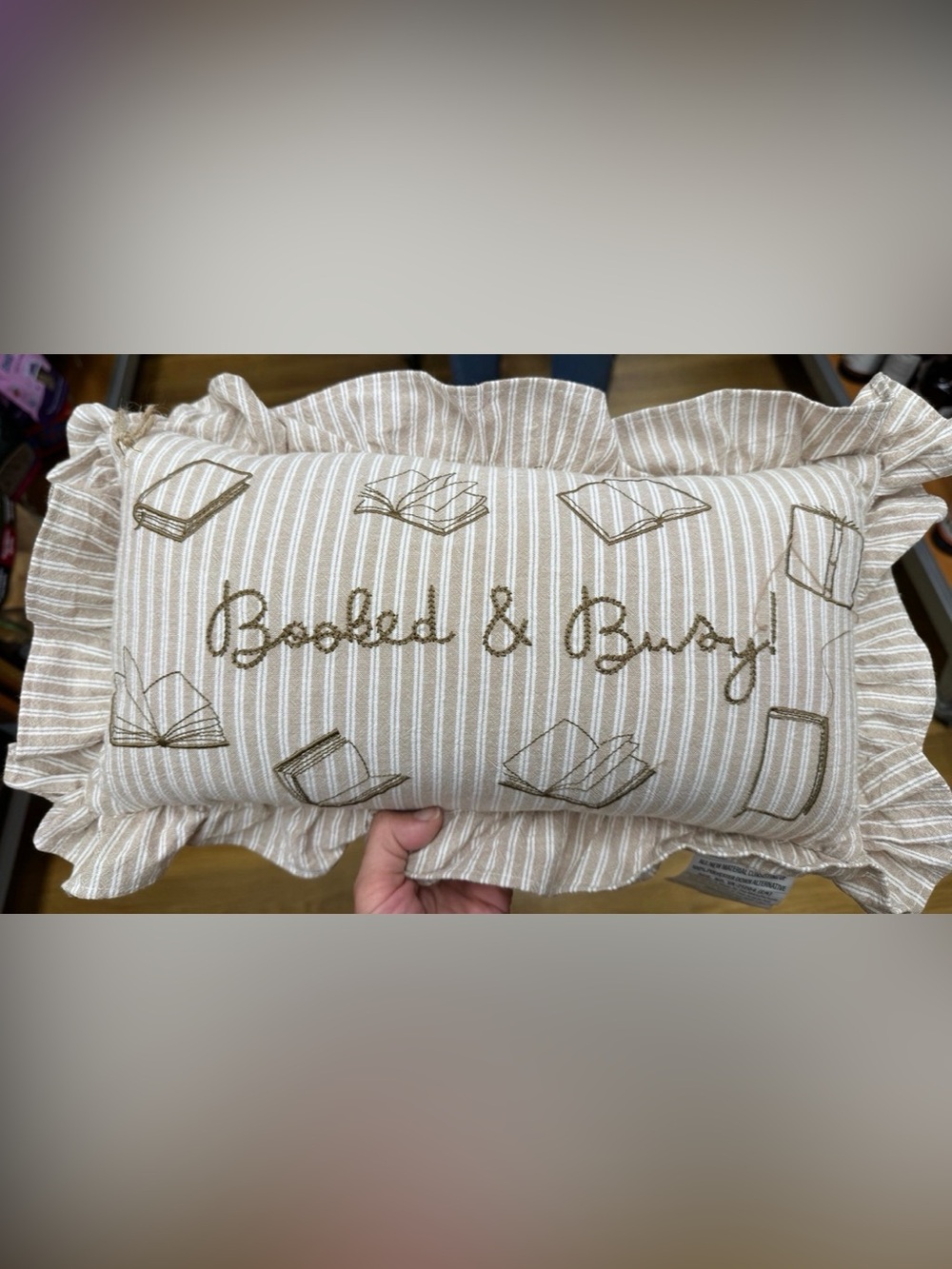 Striped Embroidered Book-Themed Pillow Cover in Beige “booked &busy “